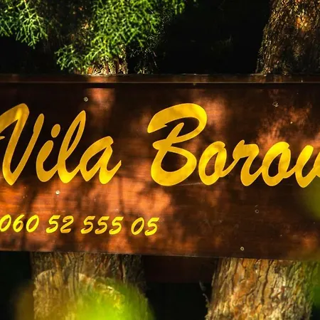 Aparthotel Borova 2
