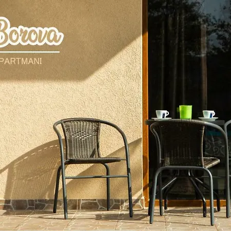 Borova 2